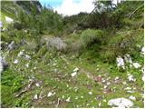 Planina Blato - Teme (Hribarice)